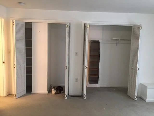 closets open (w/ cat - she doesn't come w/ the flat)