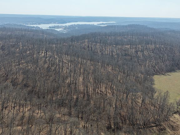 3rd image of Cup Tree Rd