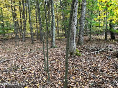 White Oak Dr W, Tannersville, PA, 18372