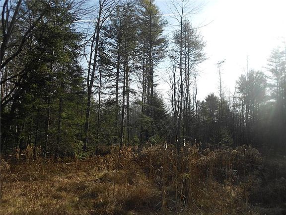 3rd image of 0 Mountain Ash Avenue