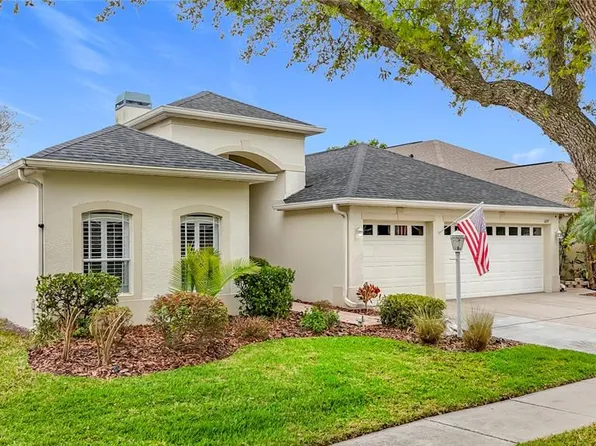 (undisclosed Address), Valrico, FL 33594