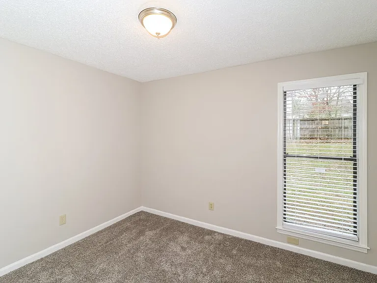 3925 Birchshade Cv — Photo 12