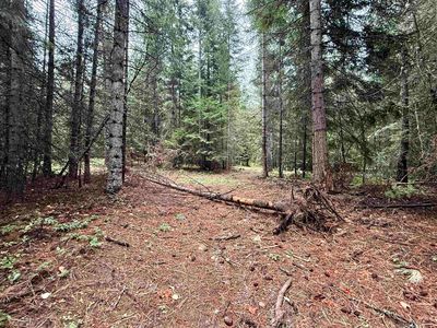 1002 Valley View Dr, Newport, WA, 99156