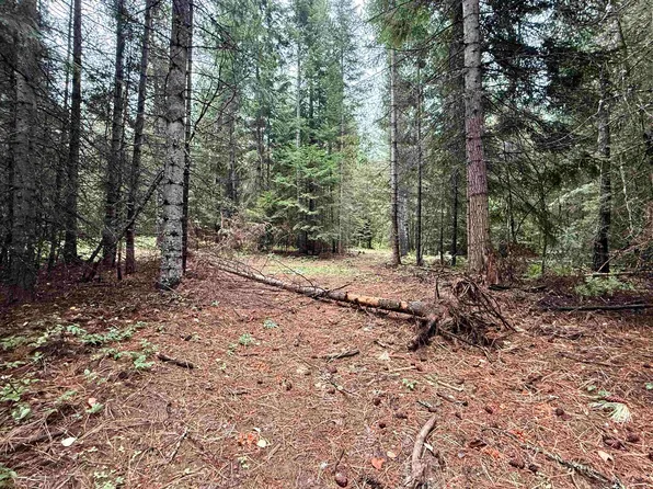 1002 Valley View Dr, Newport, WA 99156