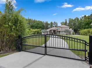 22043 Hale Rd, Land O Lakes, FL 34639