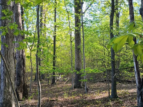 0 Pattie Rd, Buckingham, VA 23921