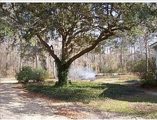 5th image of 70421 Lake Placid Dr