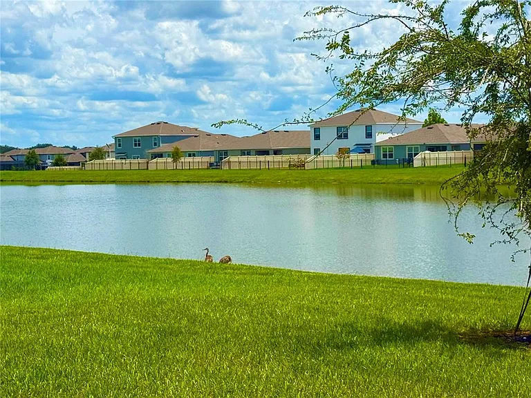 31800 Oyster Trellis Ln — Photo 16