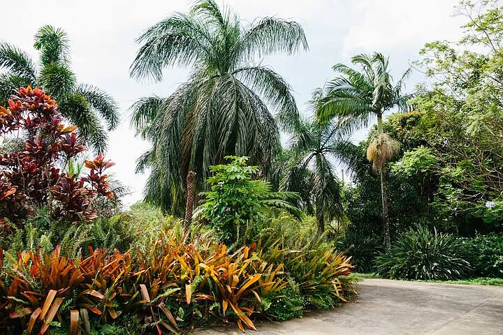 Hoalike Rd