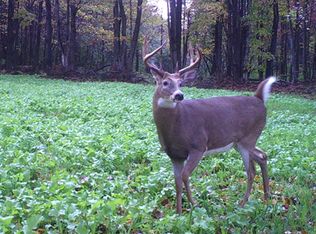 Brushy Creek Rd, Rison, AR 71665