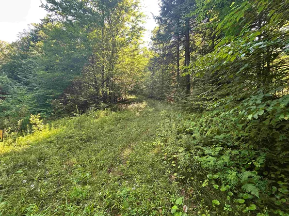 0 Rose Lane Lot #, Londonderry, VT 05148