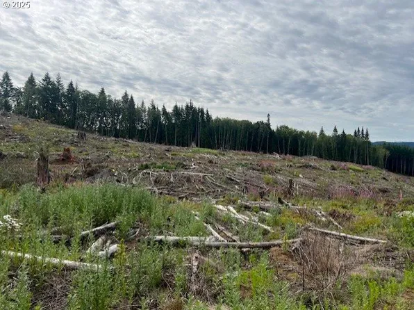 Northrup Creek Rd, Birkenfeld, OR 97016