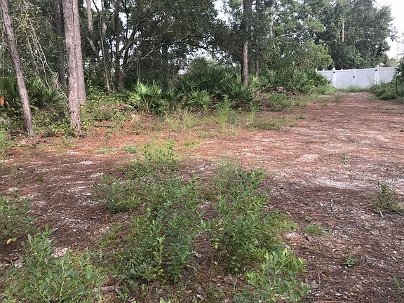2nd image of 42 Easterly Pl