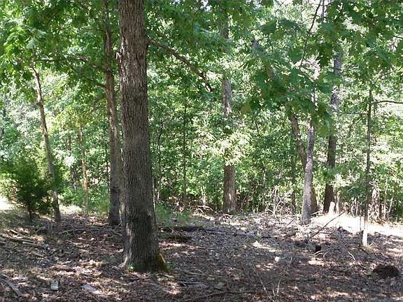 2nd image of 5 Wood Cir