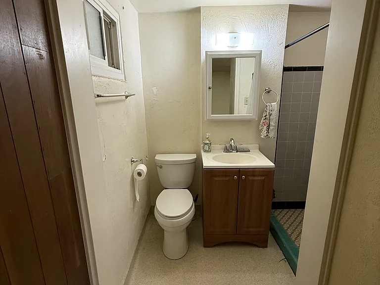 2569 S 200 W #BASEMENT — Photo 8