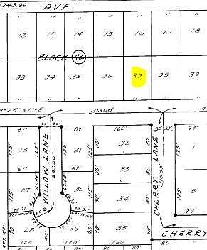 2nd image of 37 E Royal Palm Ave Lot 37
