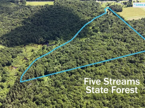 Rabbit Path Polp 409 Cty Road 5 Lot 6, Mc Donough, NY 13801