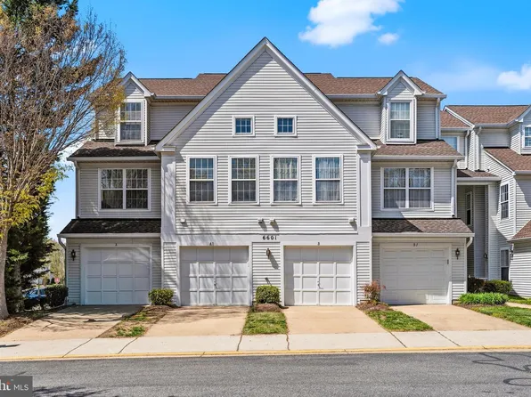 6601 Netties Ln Unit 1811, Alexandria, VA 22315