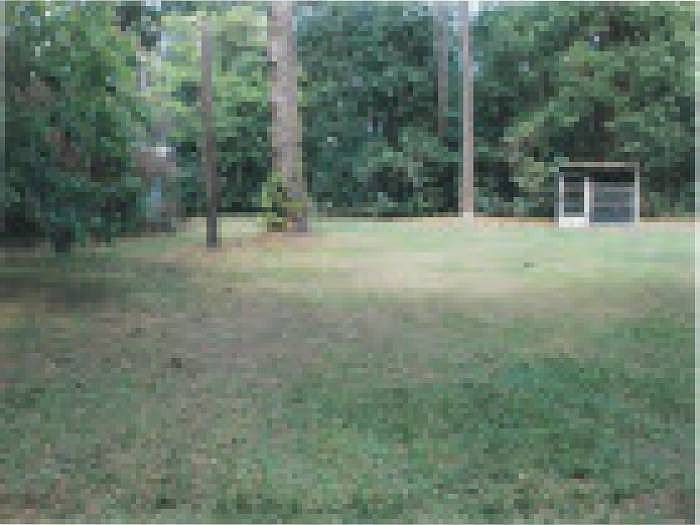 BACK VIEW OF YARD