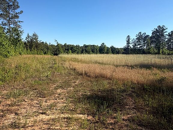 4th image of 1139 W County Road 19