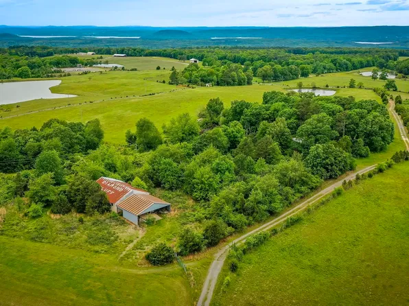 810 Diamond Bluff Rd, Quitman, AR 72131