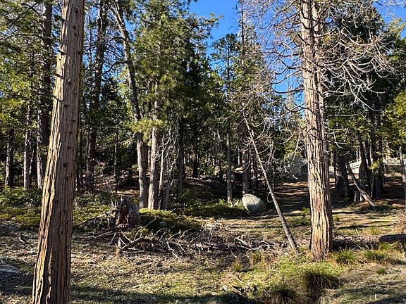 4th image of 42521 Opal Ln