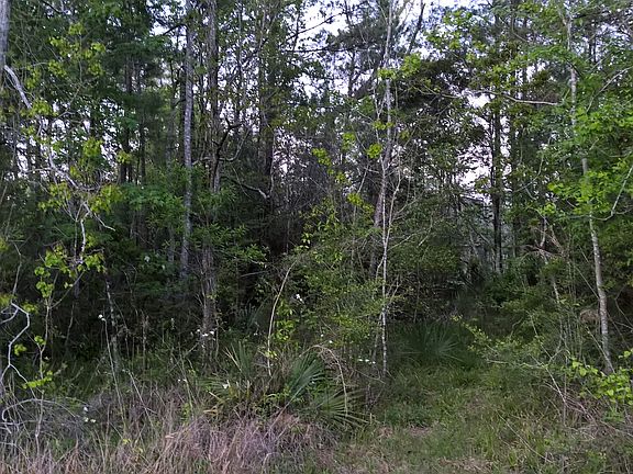 3rd image of Woodshire Lane