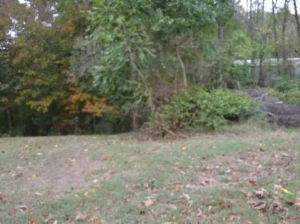 Cummins Ct, Celina, TN 38551
