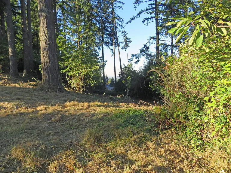 2395 McLean Blvd — Photo 10