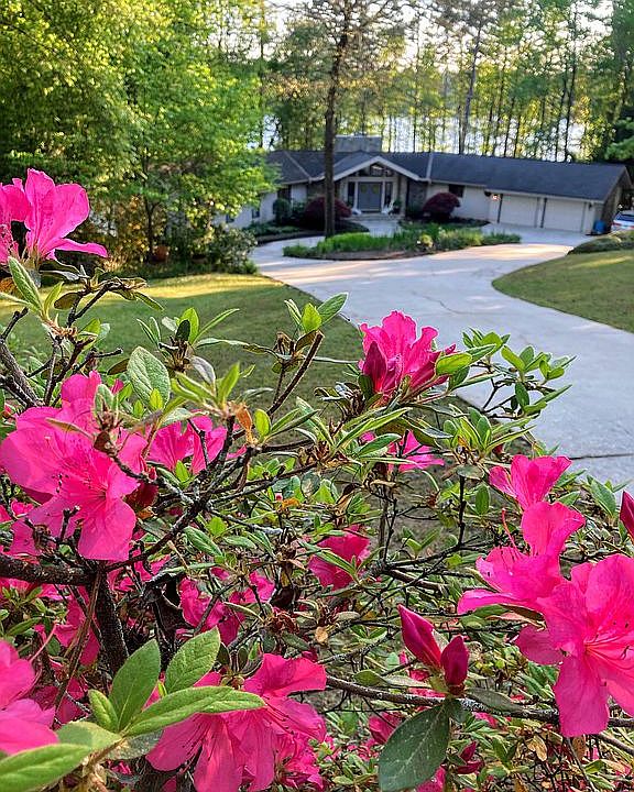 View from top of driveway