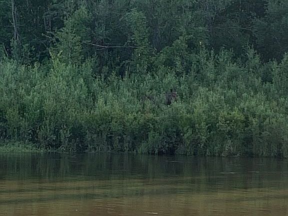 4th image of 375 Nordale Rd