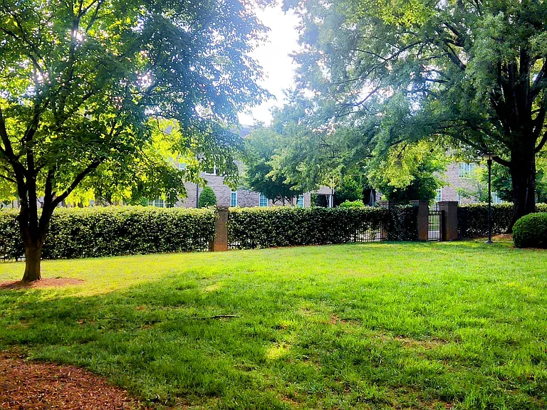 Different view of side yard.