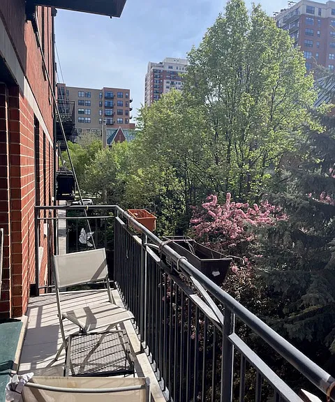 1440 S Wabash Ave #309 — Photo 15