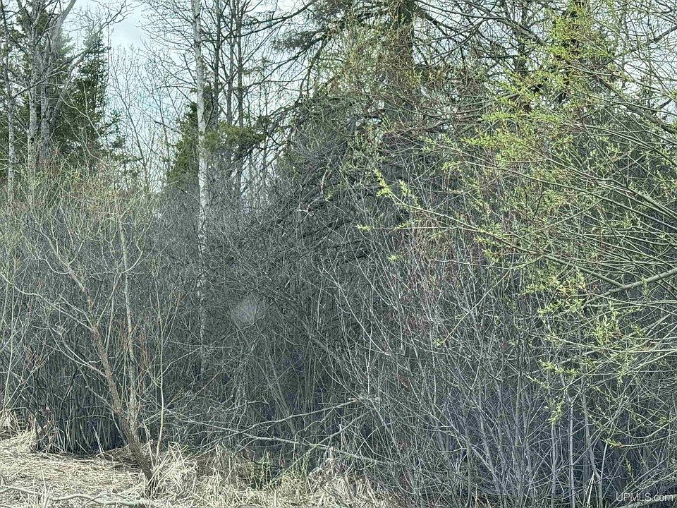 2nd image of Us Highway 2