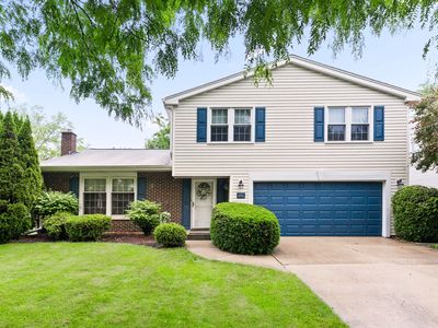 696 Stanford Ln, Buffalo Grove, IL, 60089