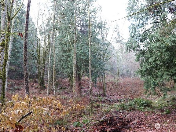 3rd image of 18700 SE 64TH Way