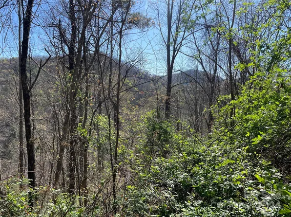 0 Lumberton Rdg, Waynesville, NC 28785