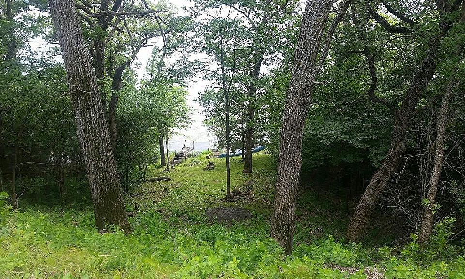 Perfect for a walk out 