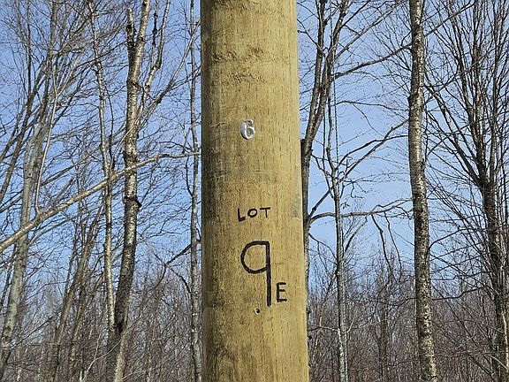 5th image of Lot 9 E Moose Alley Road
