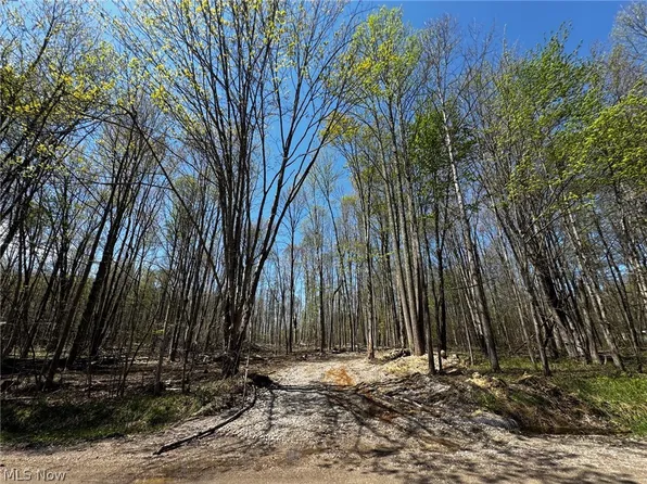 Hines Rd, Kingsville, OH 44048