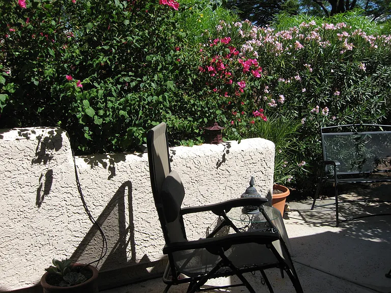 7601 N Calle Sin Envidia #68 — Photo 21