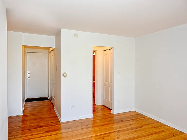 1415 W Lunt Ave #408 — Photo 4