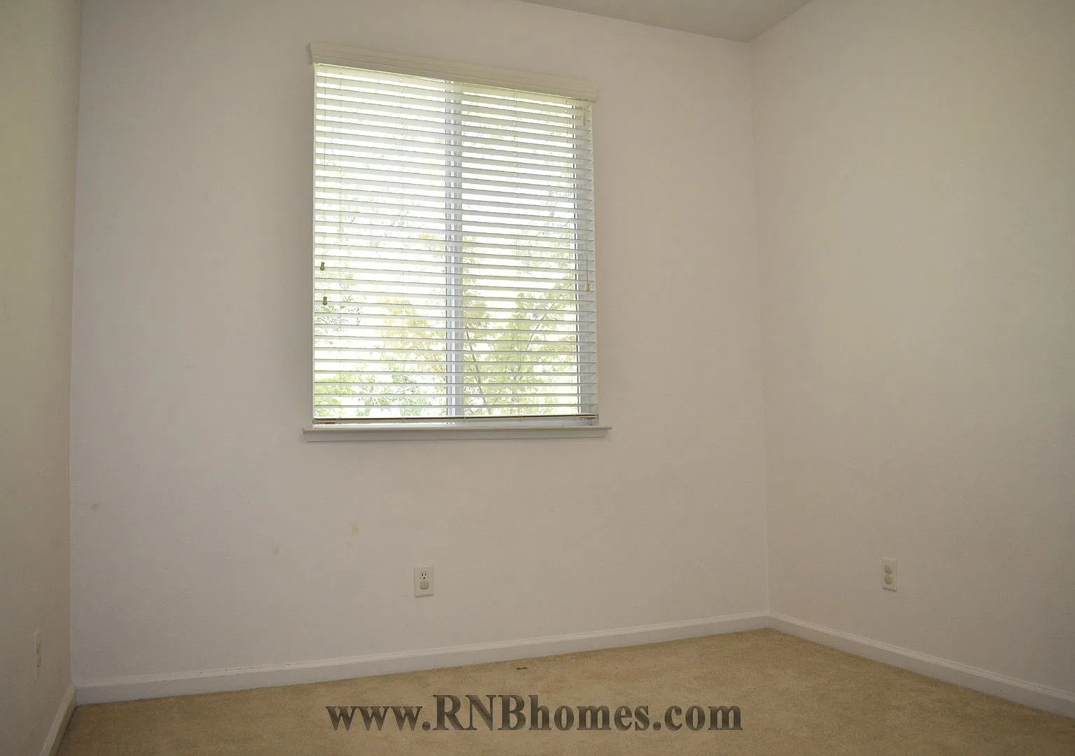 Mount Kisco Way 4336 — Photo 2