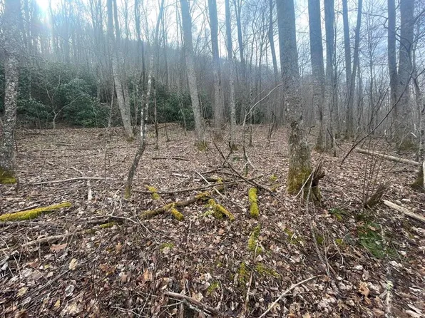 0 Beech Creek Rd, Robbinsville, NC 28771