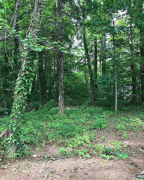 1st image of 295 Garden Dr