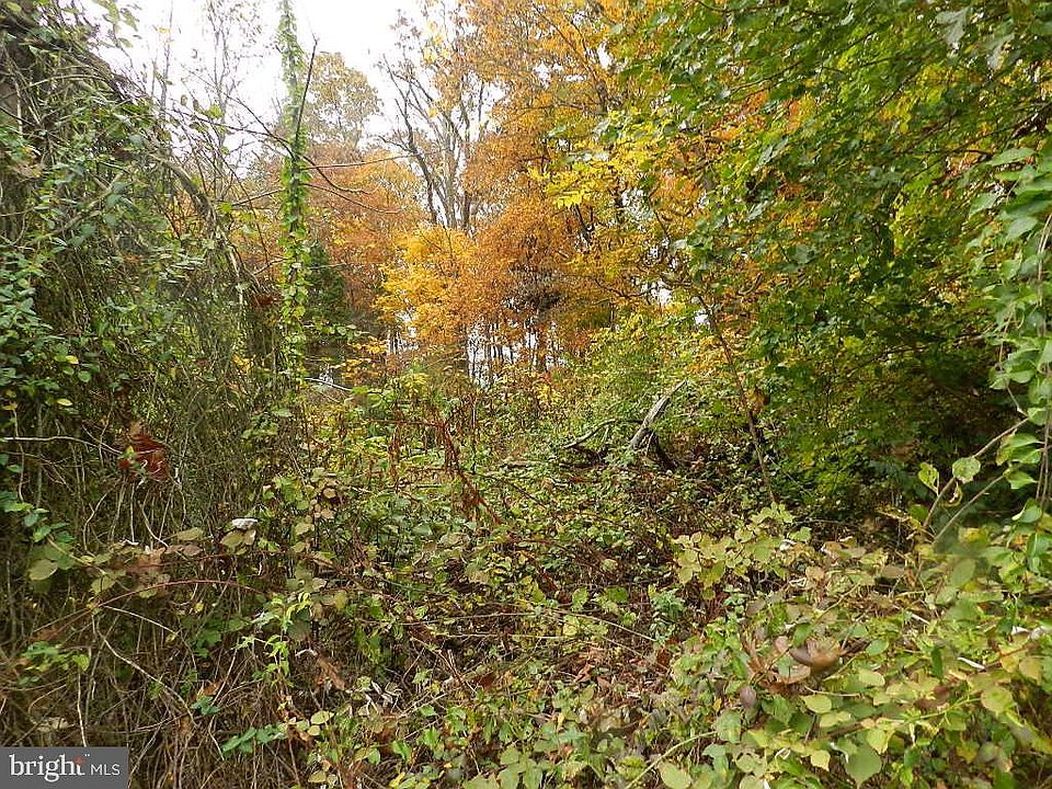 1st image of 223 Black Oak Trl