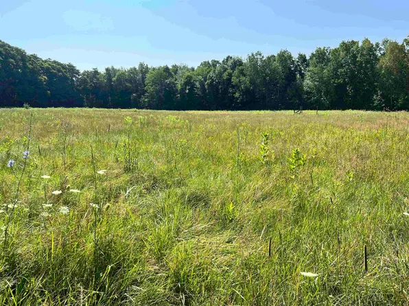 PARCEL Webb Rd #A, Goodells, MI 48027
