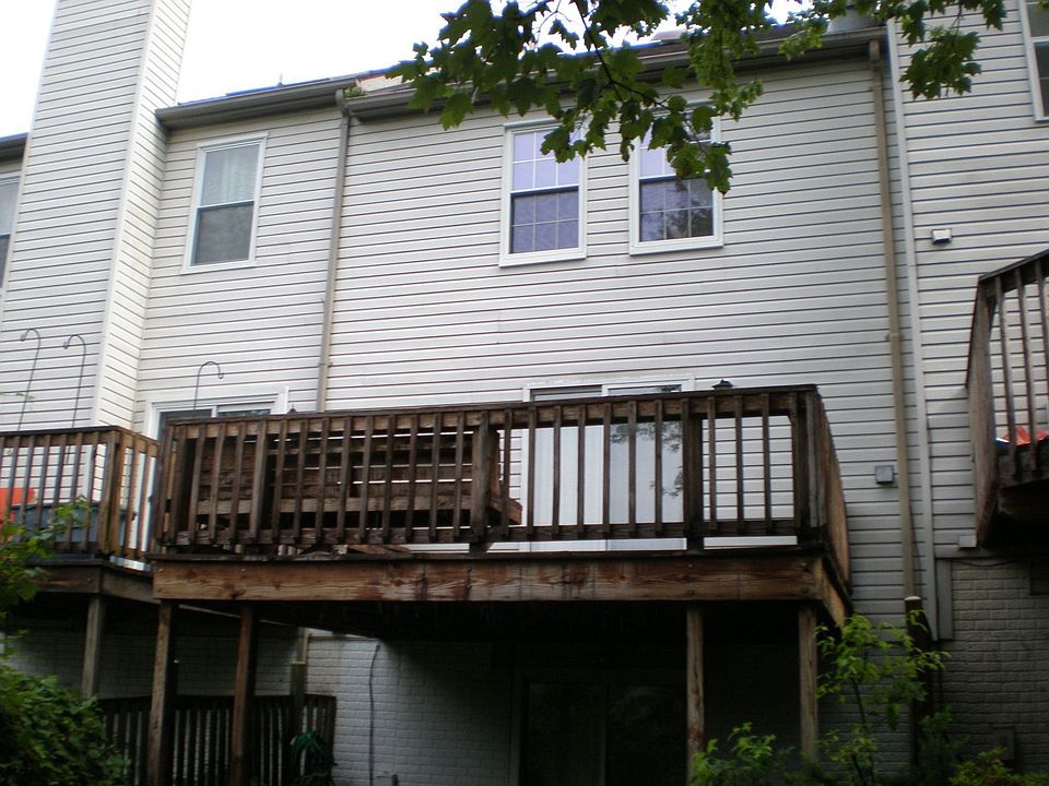 Back view