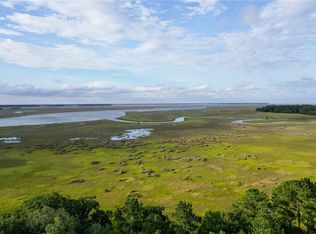 14 Tranquility River View Ct, Townsend, GA 31331