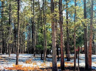 6 Broadmoor Way, Angel Fire, NM 87710